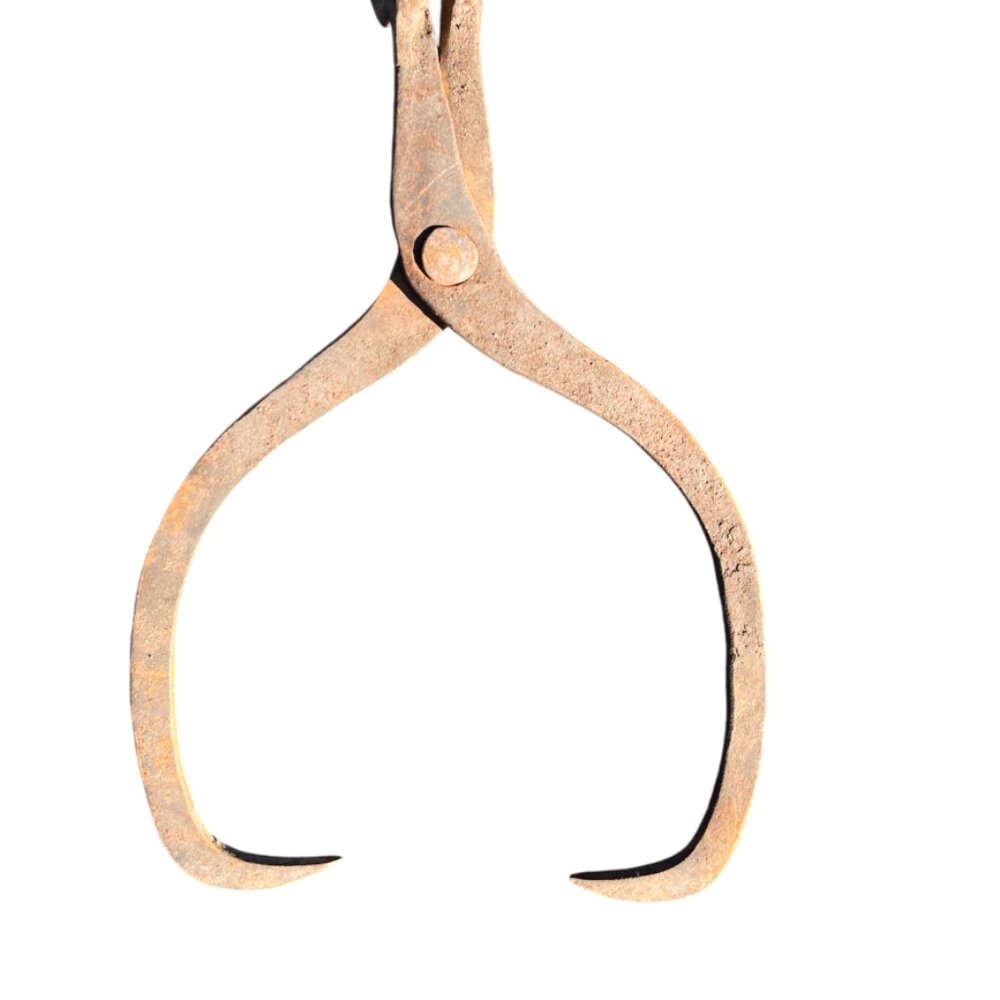 Vintage Ice Tongs - Picture 3 of 5